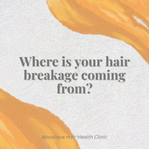 Dry hair, frizzy hair - why is the hair dry or frizzy?